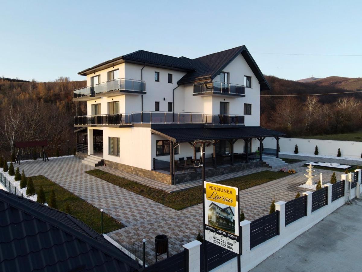 Casa De Vacanta Larisa Novaci-Străini المظهر الخارجي الصورة